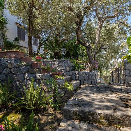 Ulivi Apt Villa Sorrento Bagian luar foto