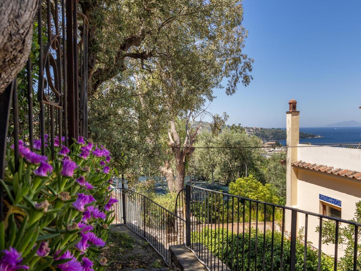 Ulivi Apt Villa Sorrento Bagian luar foto