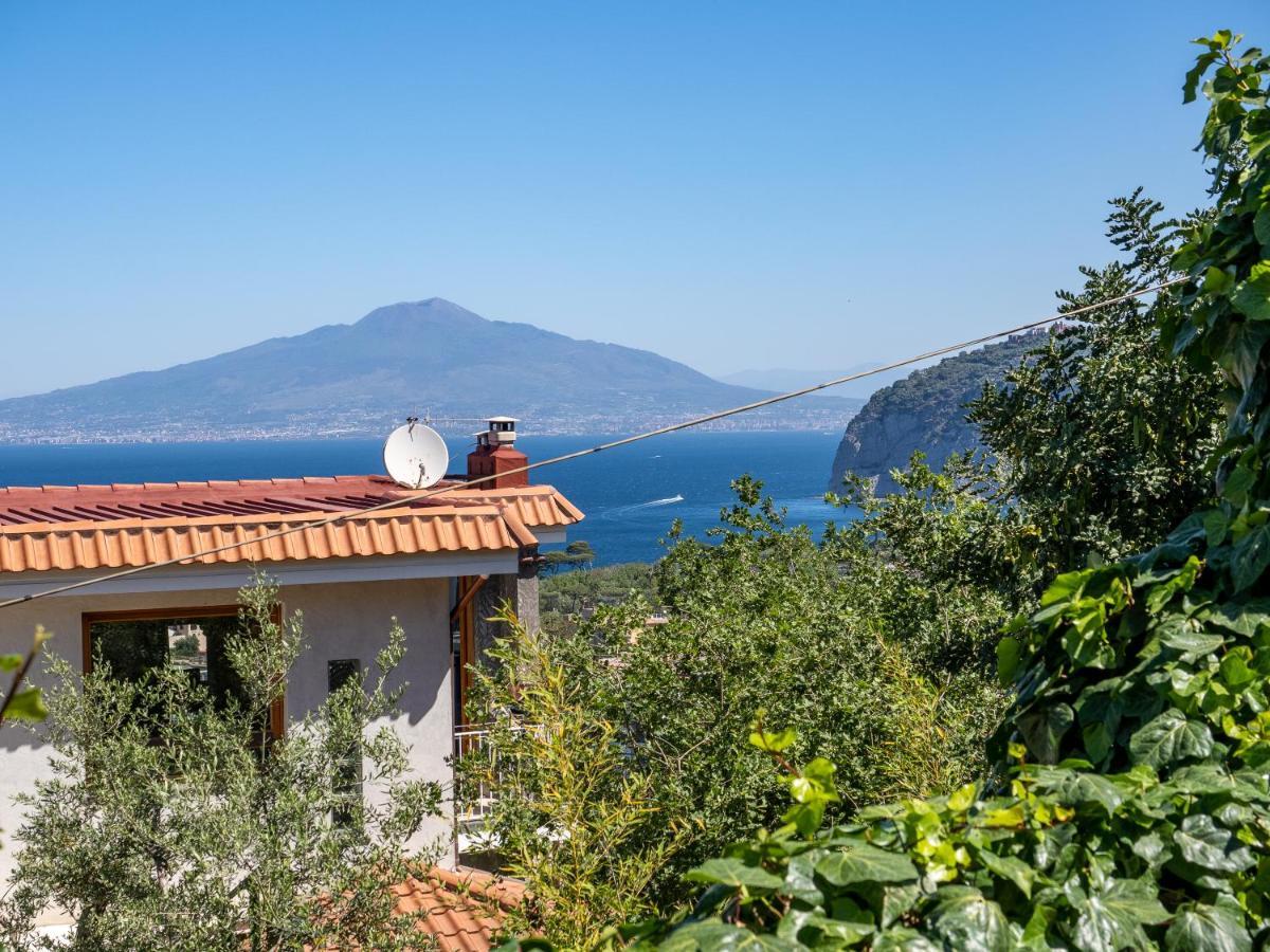 Ulivi Apt Villa Sorrento Bagian luar foto