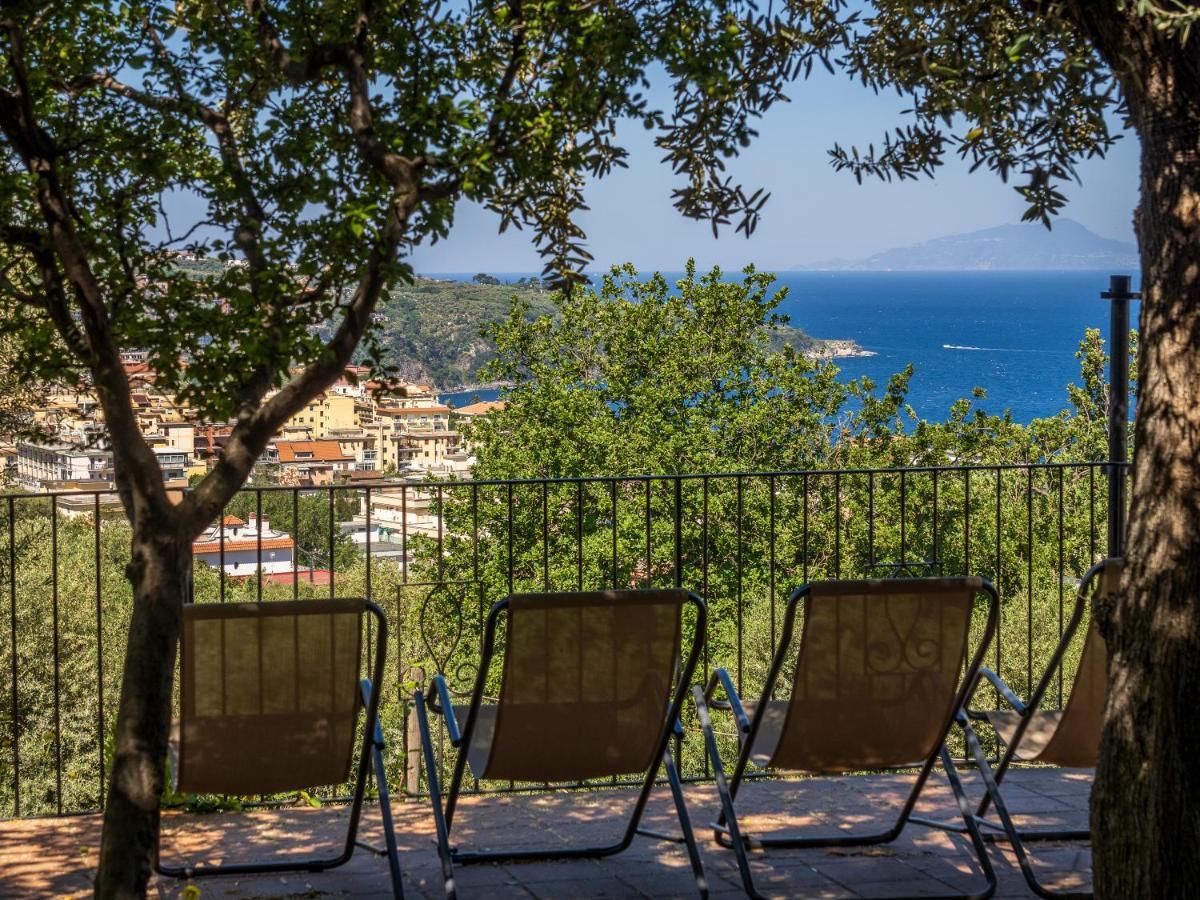 Ulivi Apt Villa Sorrento Bagian luar foto