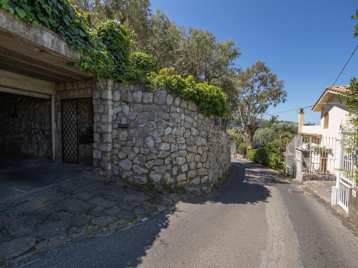 Ulivi Apt Villa Sorrento Bagian luar foto