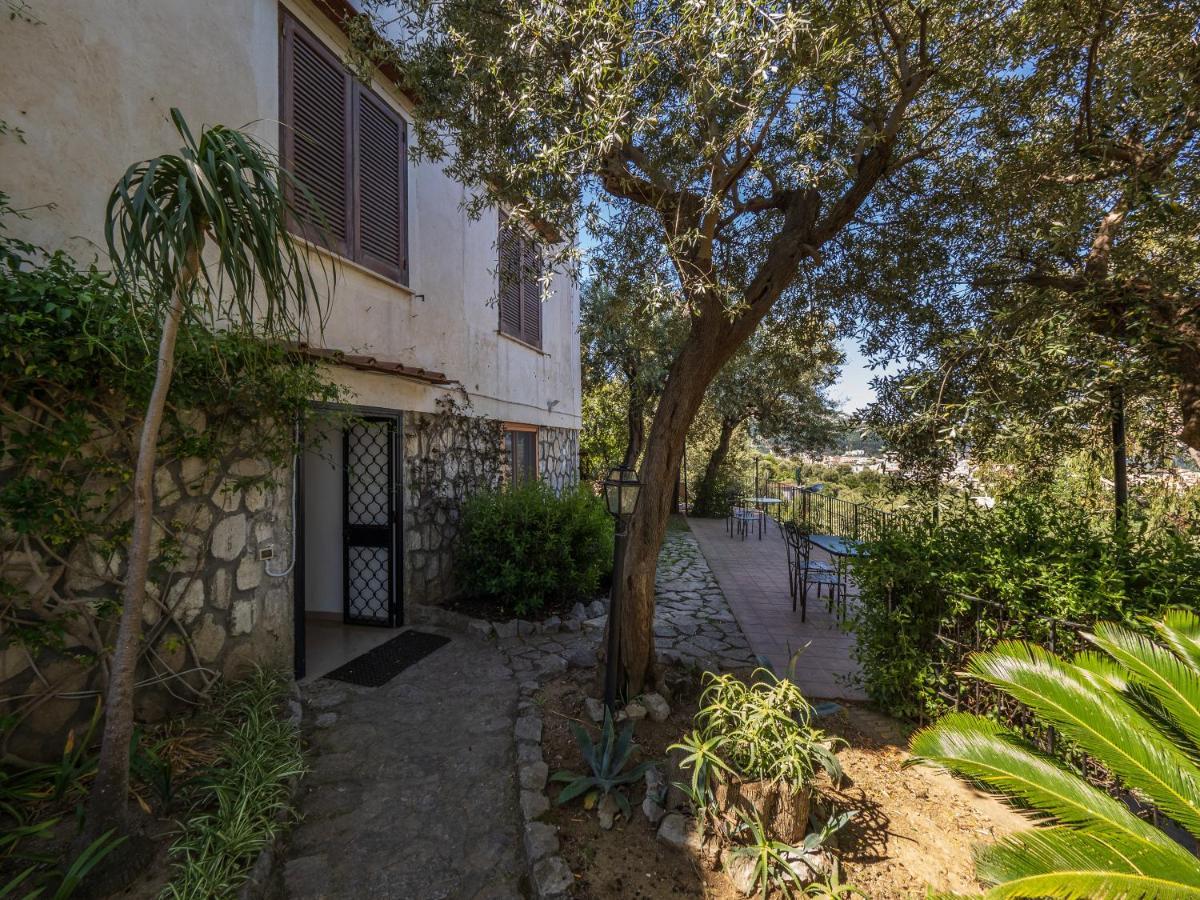 Ulivi Apt Villa Sorrento Bagian luar foto