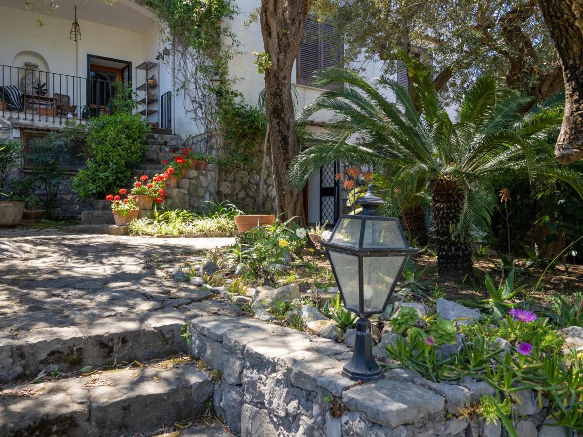 Ulivi Apt Villa Sorrento Bagian luar foto