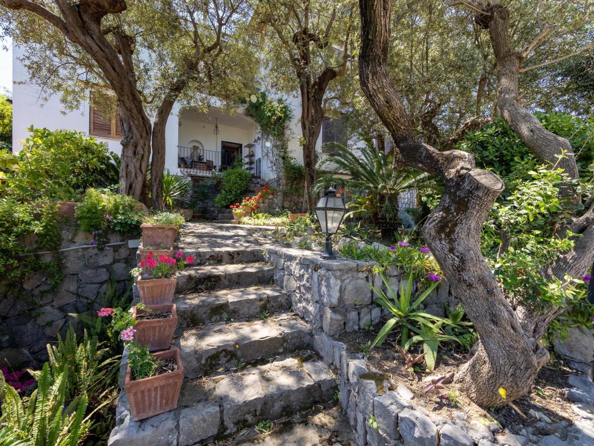 Ulivi Apt Villa Sorrento Bagian luar foto
