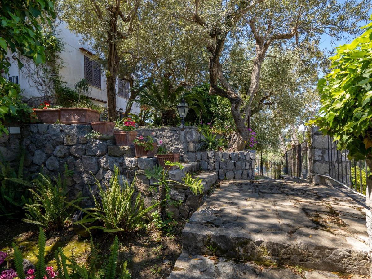 Ulivi Apt Villa Sorrento Bagian luar foto